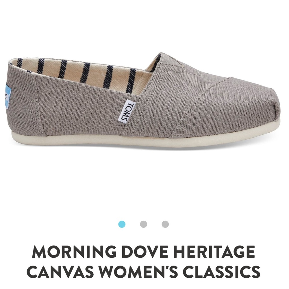 TOMS Morning Dove Canvas